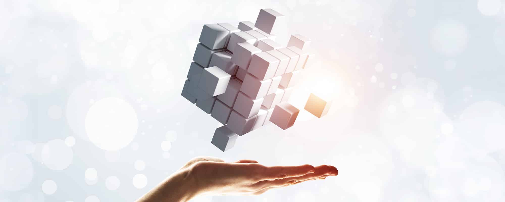 物質創成・基礎科学プログラム