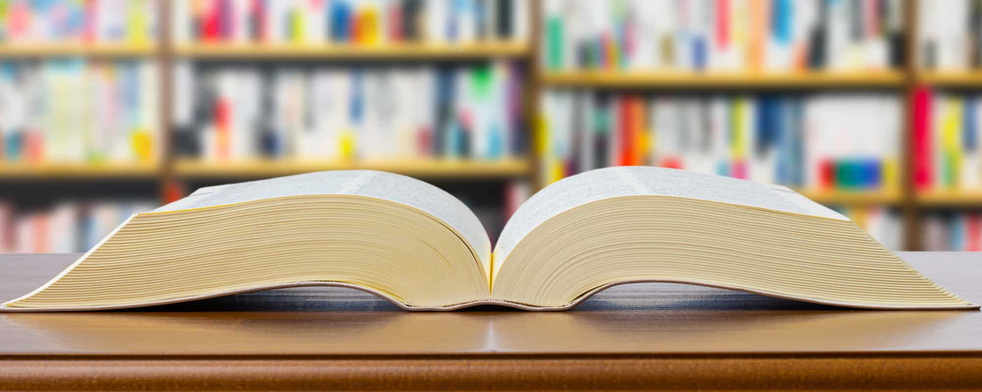 人間文化科学プログラム