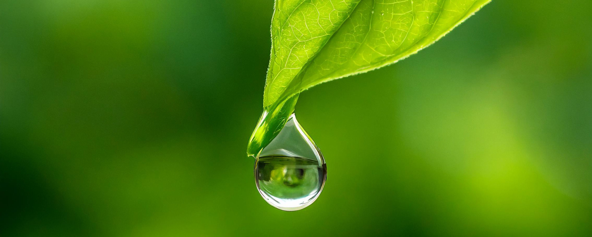 カーボンニュートラル融合科学プログラム