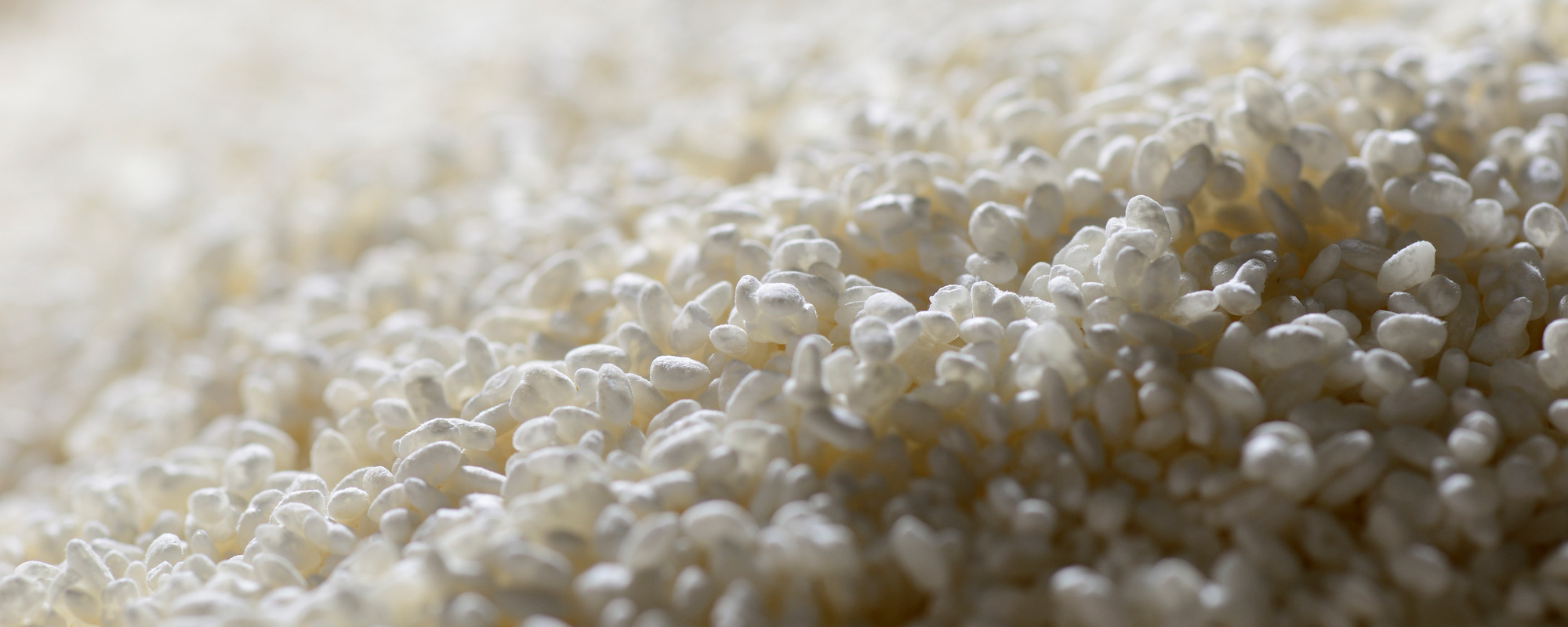 日本酒学プログラム