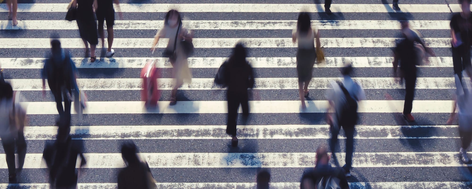 現代社会科学プログラム